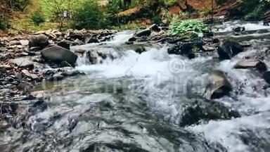 深林水晶山河.. 缓缓流动的泡沫水流